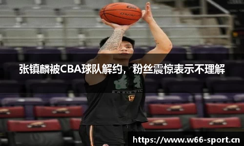 利来w66官网